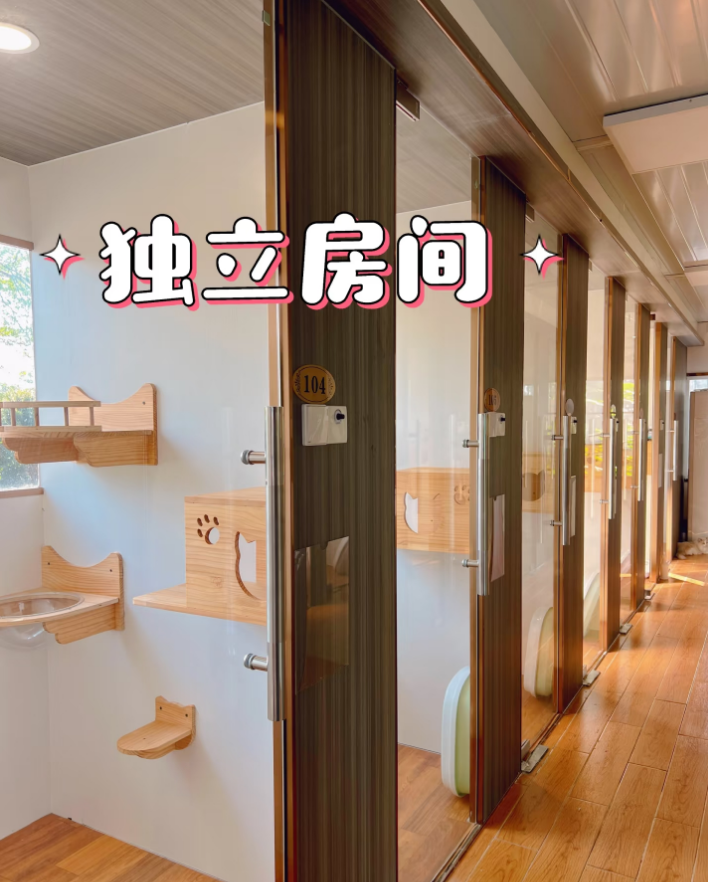 汕尾宠物